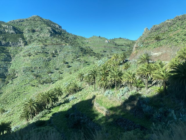 Canaries – La Gomera – an adventure worth having