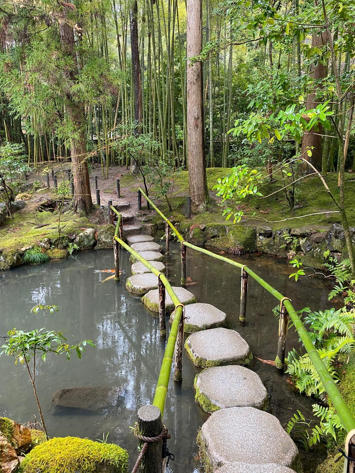 Better Than the Golden Pavilion in Kyoto