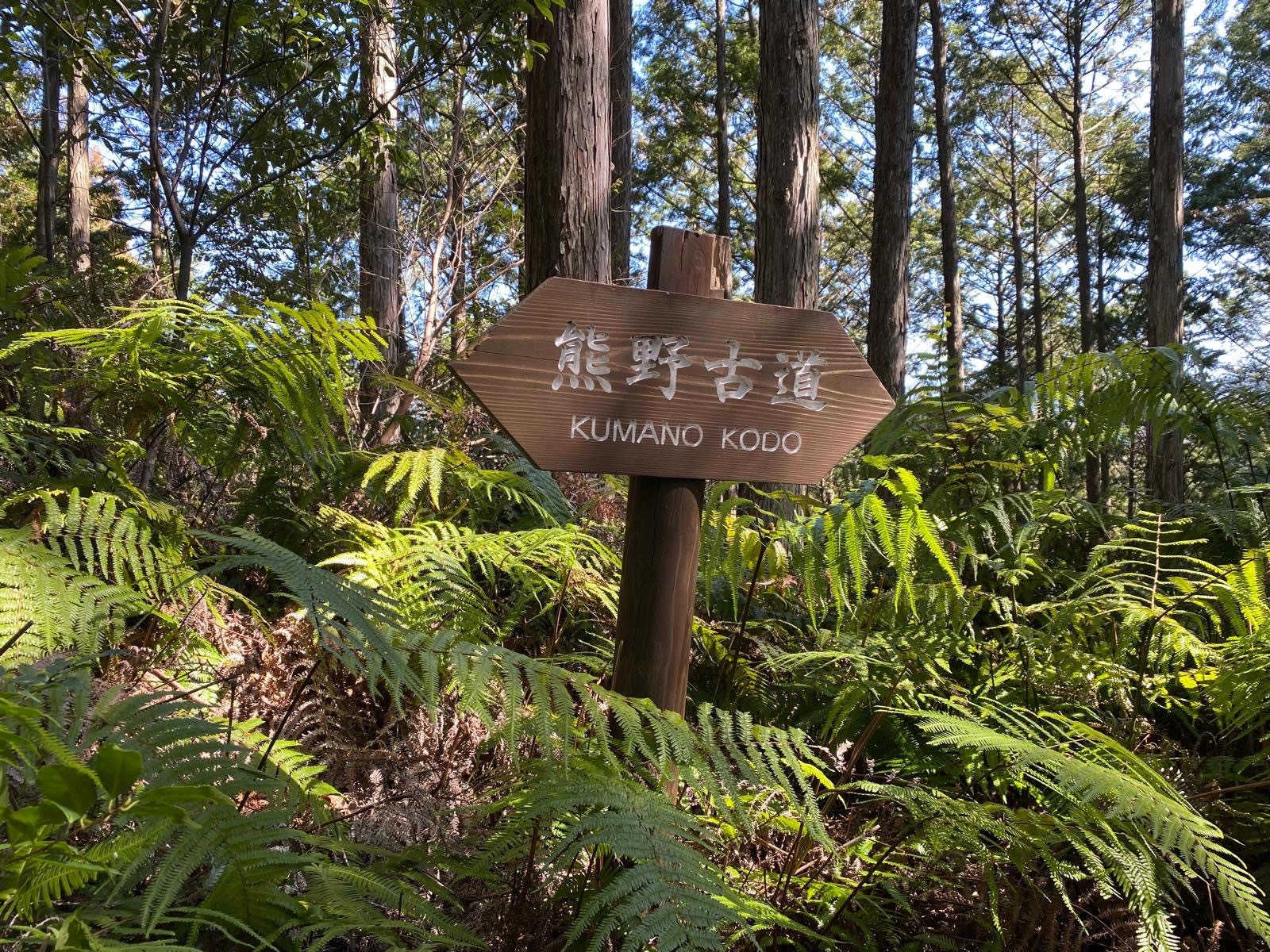 Kumano Kodo Pilgrimage